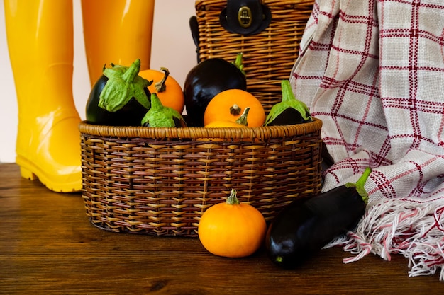 Un panier avec des aubergines et des citrouilles est sur la table