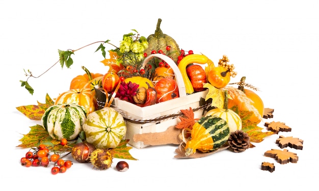 Panier d'automne sur fond blanc