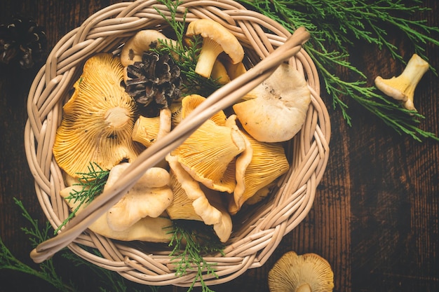 Panier aux girolles aux champignons des bois