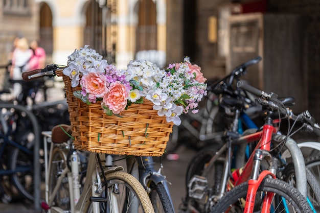 Panier avant de vélo en osier fait main traditionnel avec des sangles en cuir pleines de fleurs