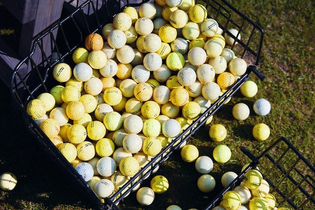 Panier avec des balles de golf sur l'herbe verte dans un parc ensoleillé