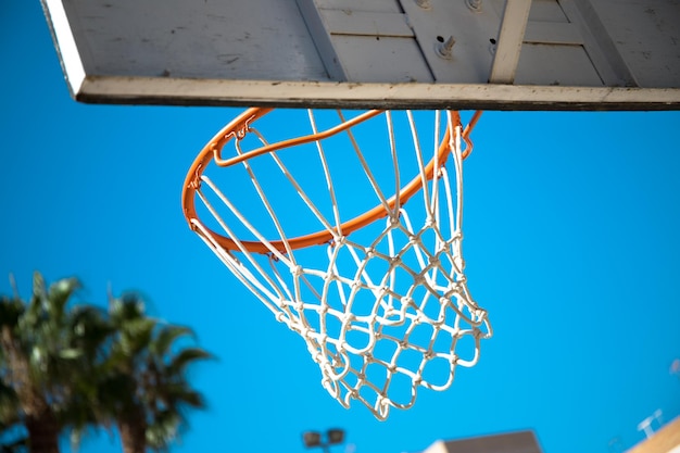 Un Panier De Basket Avec Des Palmiers Derrière Dans Une école.