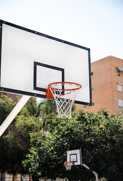 Un panier de basket avec des palmiers derrière dans une école.