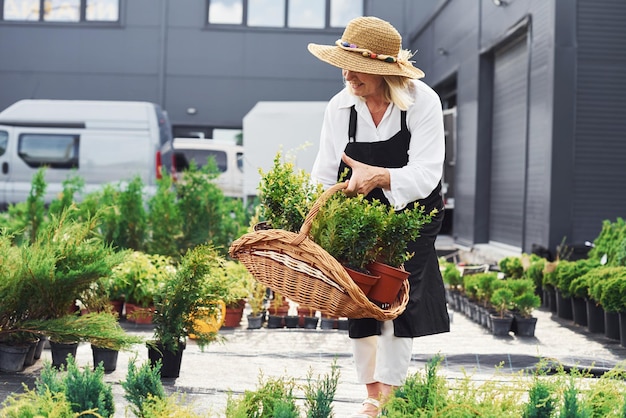 Panier en bois dans les mains Une femme âgée est dans le jardin pendant la journée Conception des plantes et des saisons