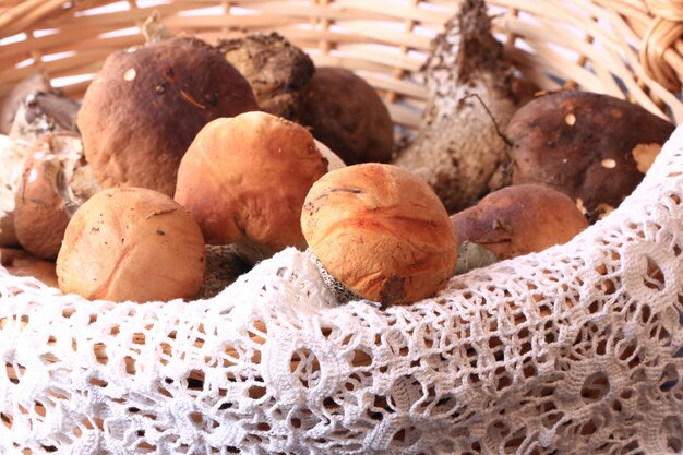 Panier de champignons comestibles soft focus sélectif