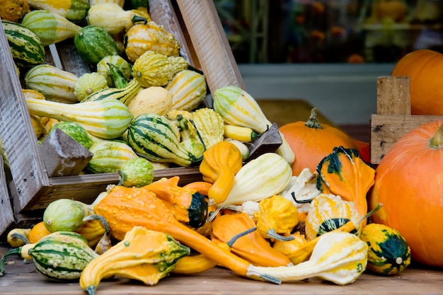 Panier avec citrouille débordante