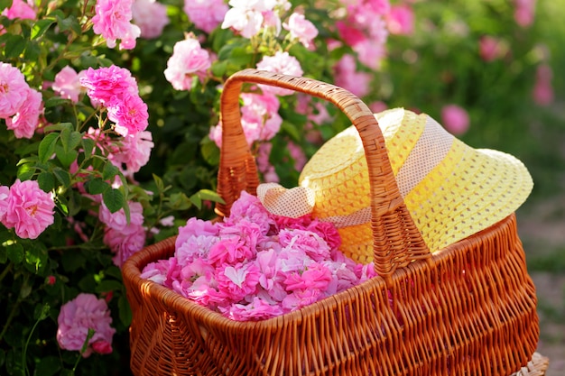 Panier avec fleur de roses à l'huile rose.