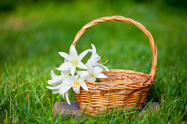 Panier avec des fleurs de lys sur l'herbe