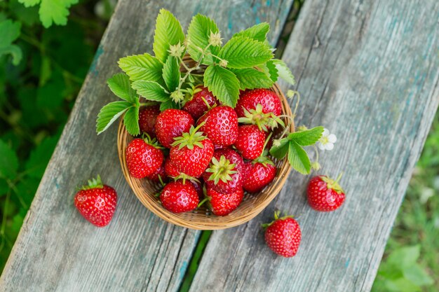 Un panier de fraises juteuses rouges sur table en bois rustique