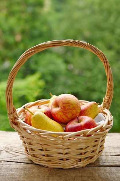 Panier de fruits frais sur fond de feuillage vert