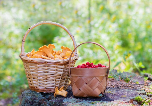 Un panier de girolles et un panier de fraises de la forêt