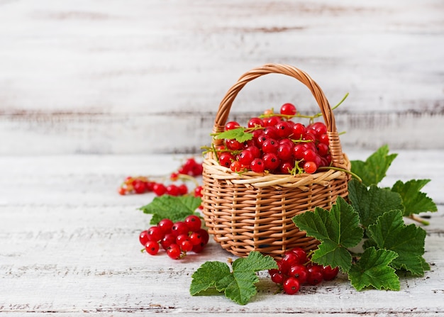 Panier avec groseilles rouges avec des feuilles sur fond clair.