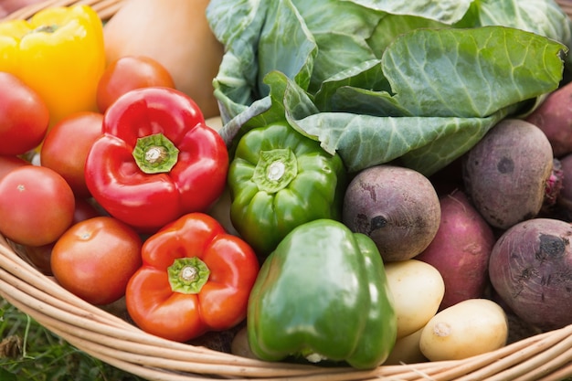 Panier de légumes biologiques frais