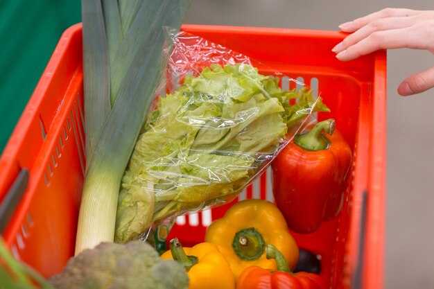 Photo panier avec légumes et herbes et une main féminine.