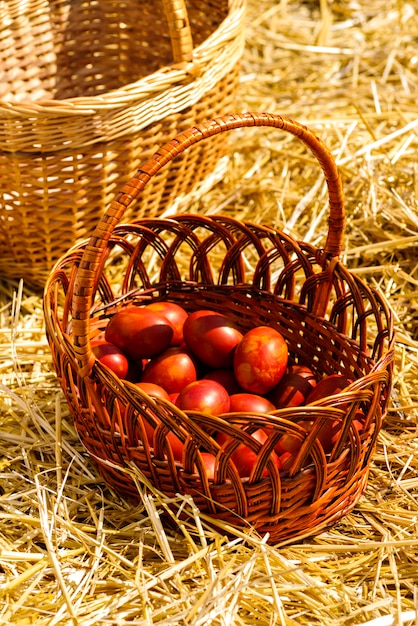 Panier avec des œufs de poule teints