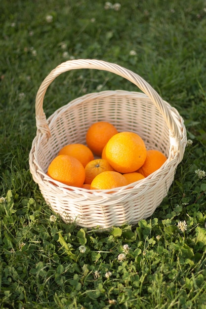 Photo un panier d'oranges avec un panier de oranges dans l'herbe