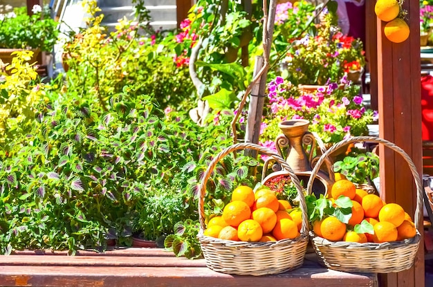 Panier d'oranges près de l'entrée du Musée du Minotaure