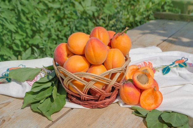 Panier en osier avec des abricots frais