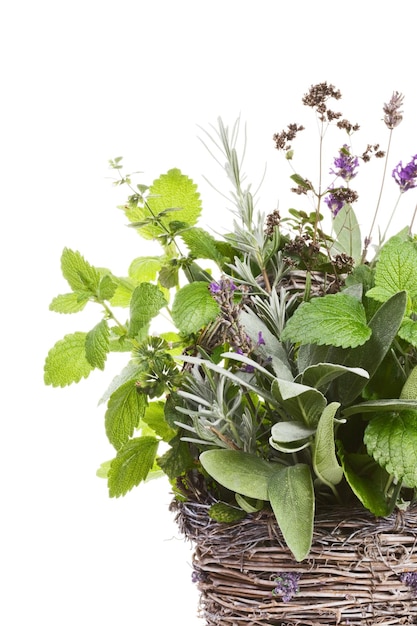 Panier en osier contenant de la lavande, de la sauge, de la mélisse et du thym sur blanc