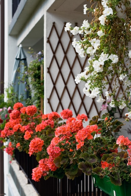 Un panier en osier avec des fleurs sur le rebord de la fenêtre