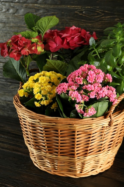 Panier en osier avec fleurs sur table en bois