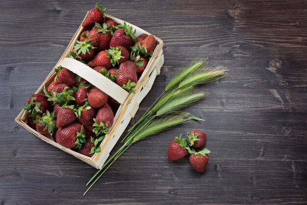 Panier en osier avec fraises fraîches juteuses