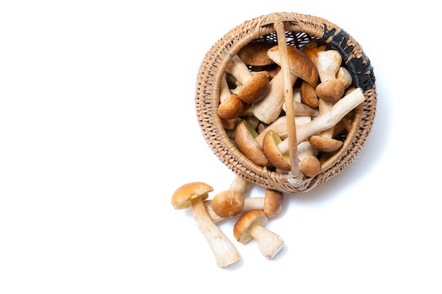 Panier en osier plein de Boletus Edulis isolé sur fond blanc