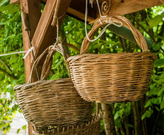 Un panier en osier suspendu à un arbre.