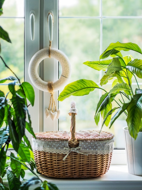 Panier en osier vintage pour pique-nique sur le rebord de la fenêtre avec des plantes vertes