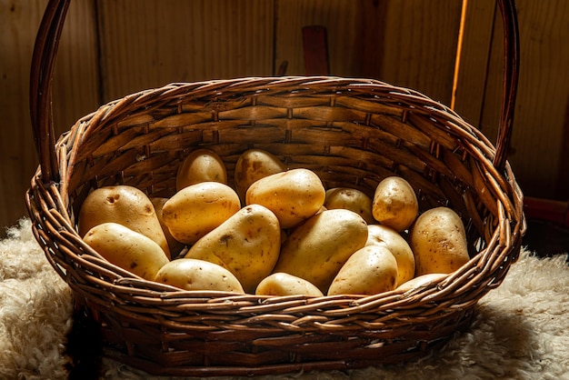 Panier de paille avec pommes de terre sur une couverture en peau de mouton