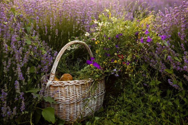 Panier De Pain Et De Fleurs Dans Le Champ De Lavande