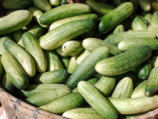 Photo un panier plein de concombres avec une personne qui les tient