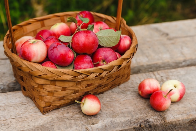 Panier avec pommes bio