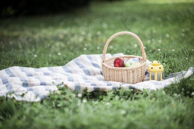 Panier Avec Des Pommes Sur L'herbe. Pique-nique. L'été. Des Fruits. Nature.