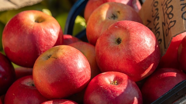 Un panier de pommes avec le mot pomme dessus