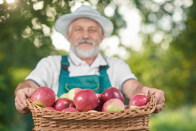 Panier avec des pommes rouges dans un panier, fermier le tenant sur le fond.