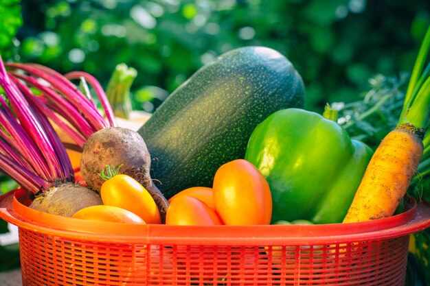 Panier rouge avec différents légumes