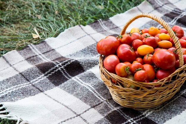 Un panier avec des tomates sur une couverture. Aliments biologiques frais du jardin.