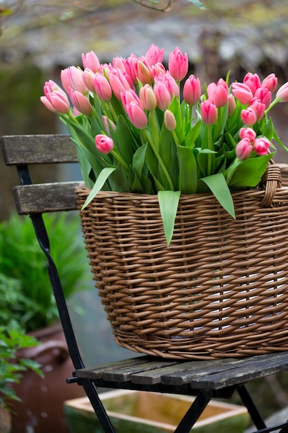 Panier avec des tulipes roses dans le jardin. célèbre symbole des pays-bas, amsterdam