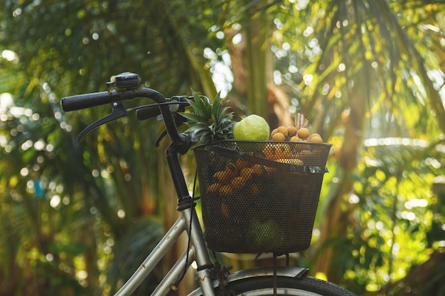 Panier sur le vélo plein de différents fruits exotiques