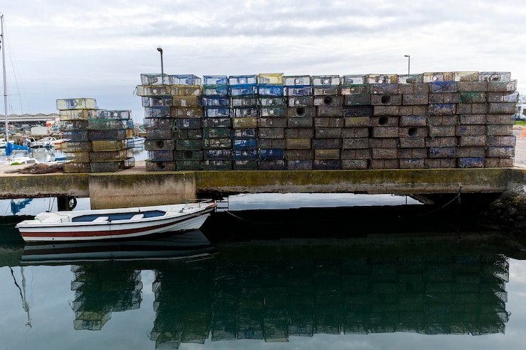 Photo paniers de crabe et de homard utilisés par les pêcheurs sur leurs bateaux