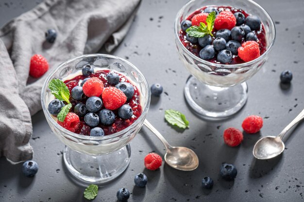 Panna Cotta fraîche et savoureuse à base de gélatine et de fruits