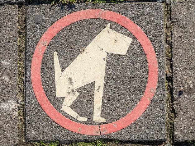 Panneau amusant sur le sol extérieur permettant aux animaux de compagnie de marcher.