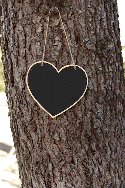 Panneau en ardoise en forme de coeur suspendu à un arbre