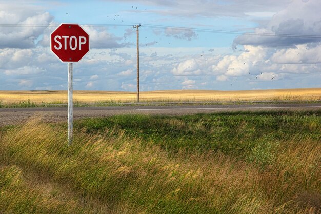 Photo un panneau d'arrêt rural dans les prairies