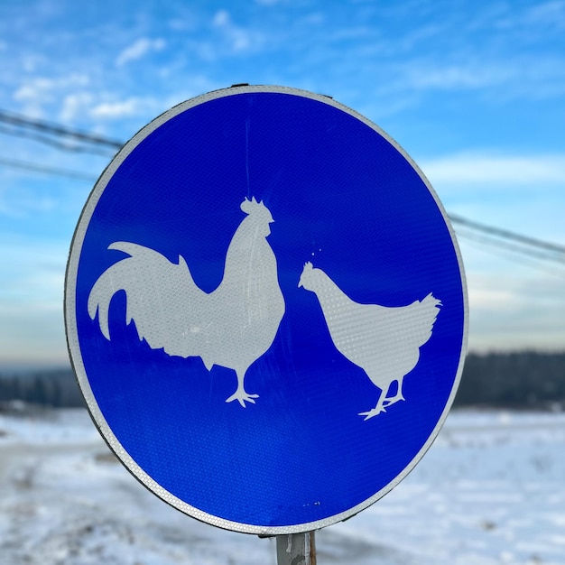 Panneau d'avertissement bleu avec du poulet à la ferme en hiver Panneau de signalisation Colline boisée enneigée en arrière-plan