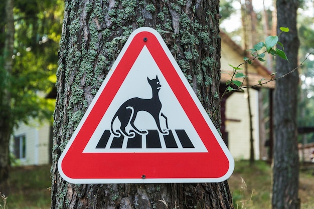 Panneau d'avertissement Méfiez-vous des chats Panneau ludique Panneau de signalisation triangulaire rouge Avertissement sur les chats