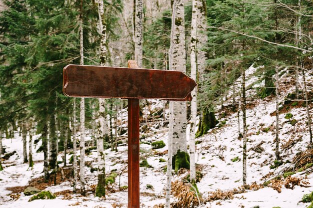 Panneau en bois avec un champ vide se dresse sur une colline parmi une forêt de conifères caduques en hiver