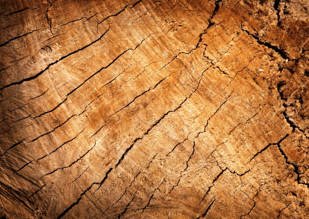 Panneau de bois fissuré de texture pour votre conception