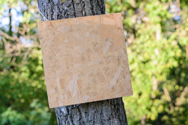 Panneau en bois vide sur l'arbre dans le parc